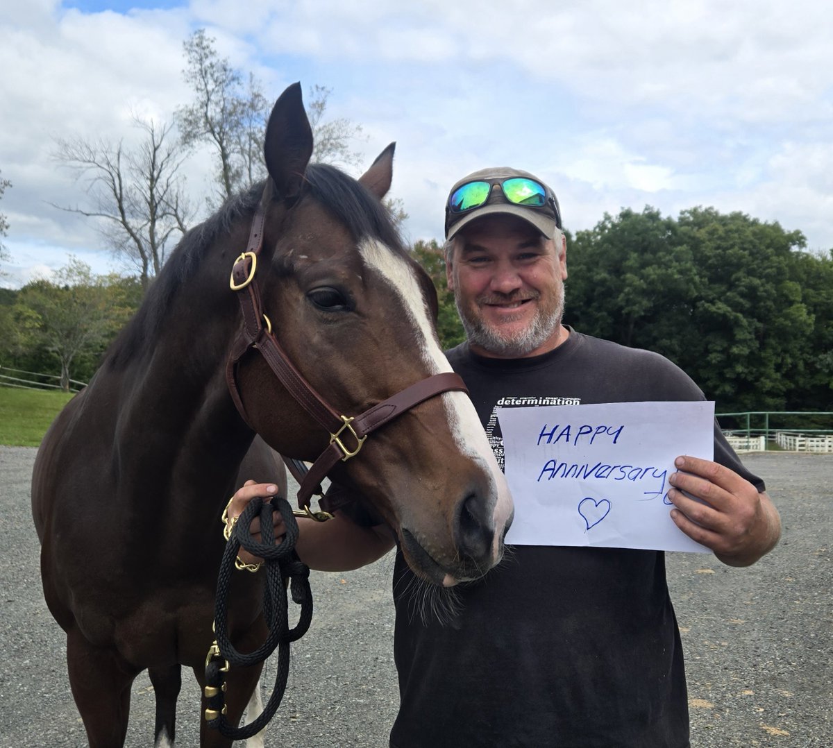 lisaky72's tweet photo. Someone understood the assignment and secretly adopted a horse for their anniversary!..
And we can report the wife was delighted with Wake Surf, winner of over $220,000
@nevinracing https://t.co/g5O9T94lG6