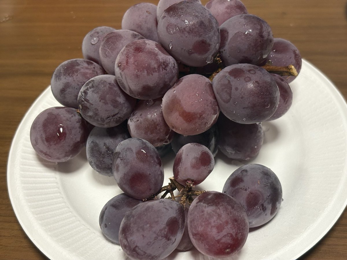 Kuragee26's tweet photo. 今年の初ぶどう🍇‼️
美味しい( ᐛ )ﾝﾏｯ https://t.co/MTvq2nUvgV