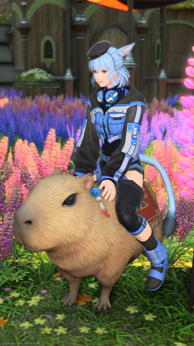 0C0COh's tweet photo. カピバラ https://t.co/6ymWK2cyG5