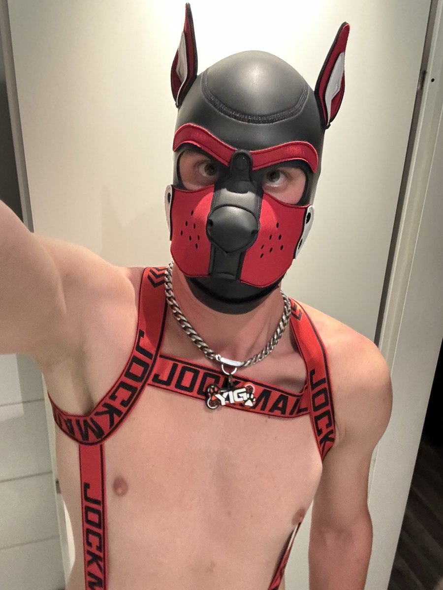 PuppyYig's tweet photo. https://t.co/MghW8C0xde