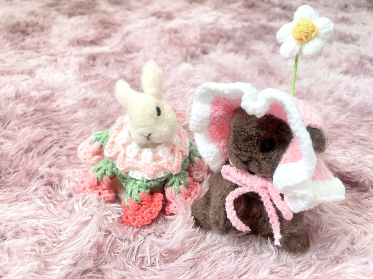 m_music_a's tweet photo. タクのお家に来たばかりのロゼちゃん🐈🐾の帽子と首輪とお洋服を作りました🥰
まだ小さい�����ちょっと大きかったけど、可愛すぎるー💕 https://t.co/eU0MhsZdsD