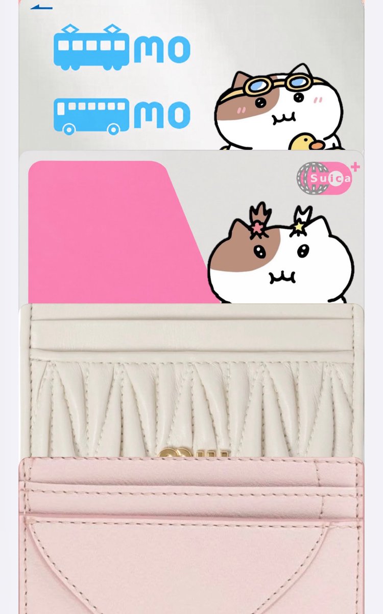 mllyw's tweet photo. にゃみSuicaつくった( > ·̫ <⸝⸝ᐢ
Walletカスタムするのかわいー https://t.co/5LZZJsxxIF