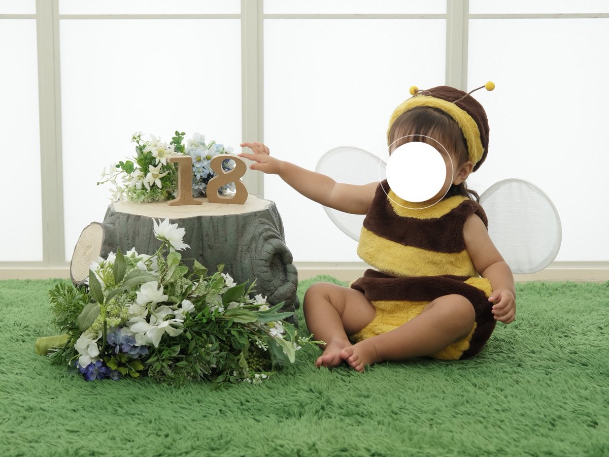 i_eat_ebi's tweet photo. 1年経ったから1歳半記念で撮ったスタジオアリスのデータ買えた！かわい〜🐝💖

てかこの1年経たないとデータ買えないシステムなに！？誰得！？我が家はもうこのシステムが嫌だからアリスやめようってなってるけど？ https://t.co/5QNAJo5Pik