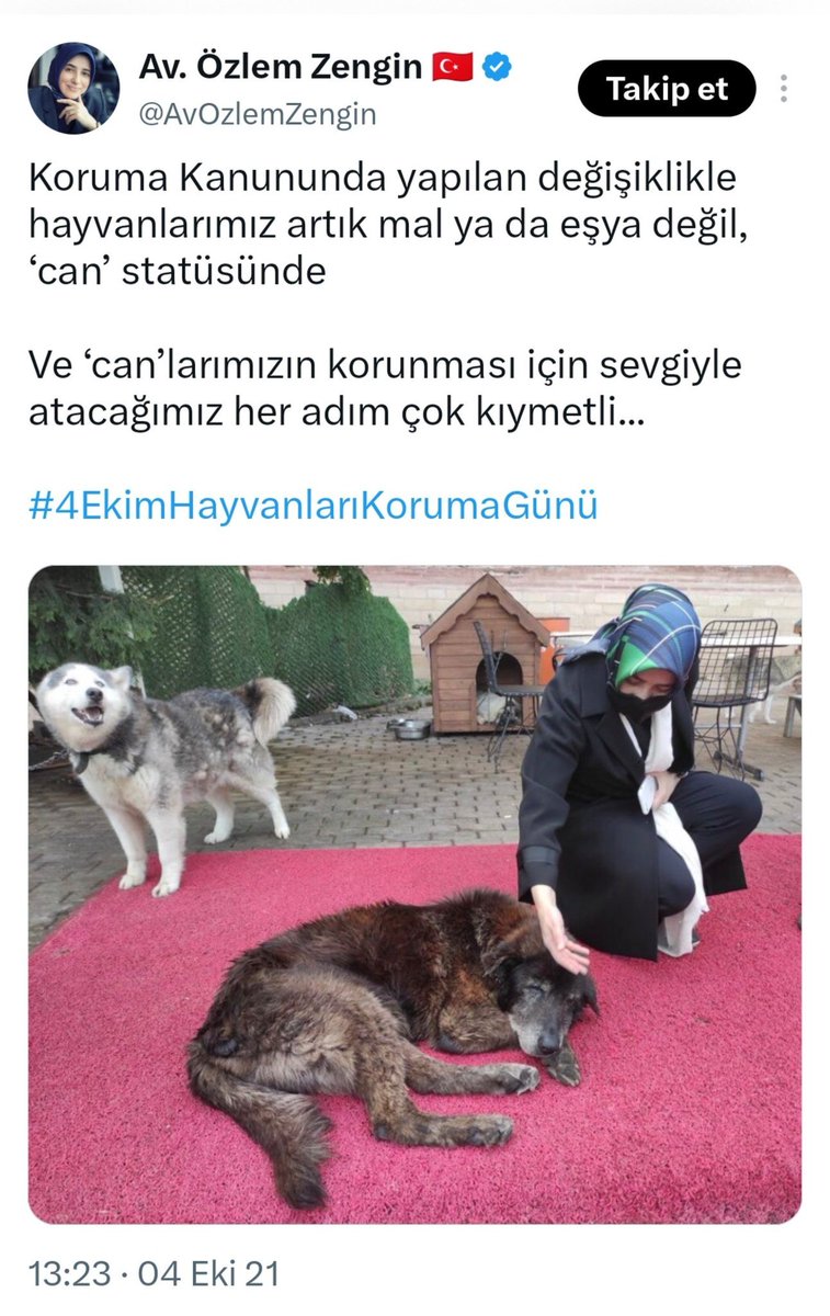 KopekTehlikesi's tweet photo. 24 yıllık Ak Parti iktidarının en büyük hatalarından birisi köpekleri can statüsüne almak. Bu yüzden tavuğunu yiyen köpeği sopayla kovalayan köylü sanki suçlu gibi ters kelepçe gözaltına alınıyor.

Bu hatadan acilen geri dönülmesi gerekiyor. @RTErdogan @Akparti https://t.co/U8dOT8Gc83