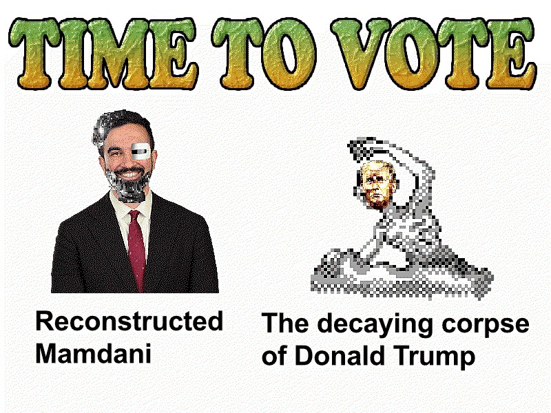 womanfailure's tweet photo. In my dream I was going to America to visit some one and this was the election they were having https://t.co/K3ti8zCNJb