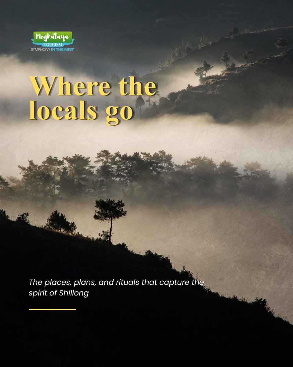 meghtourism's tweet photo. Swipe to discover Shillong through a local lens! These are the everyday experiences that make the city special. 

#Shillong #MeghalayaTourism https://t.co/Ott0ce2Zlc