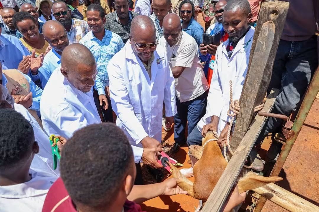 KAGRC_KE's tweet photo. KAGRC was represented during the handover and commercialisation of the Bachuma National Livestock Quarantine Centre in Taita-Taveta, a strategic investment aimed at opening Kenya’s livestock sector to high-value global markets.
Speaking during the event, CS Sen. Mutahi Kagwe emphasised that the project is not simply about putting up a facility, but about creating jobs, opening markets and putting more money in the hands of livestock farmers and local communities.
With the centre set to provide quarantine, inspection and certification services for livestock destined for export, Bachuma is expected to strengthen Kenya’s capacity to meet international animal-health requirements and unlock significant opportunities for livestock producers.
The facility represents an important step towards positioning Kenya’s livestock sector for greater market access, investment and economic growth.