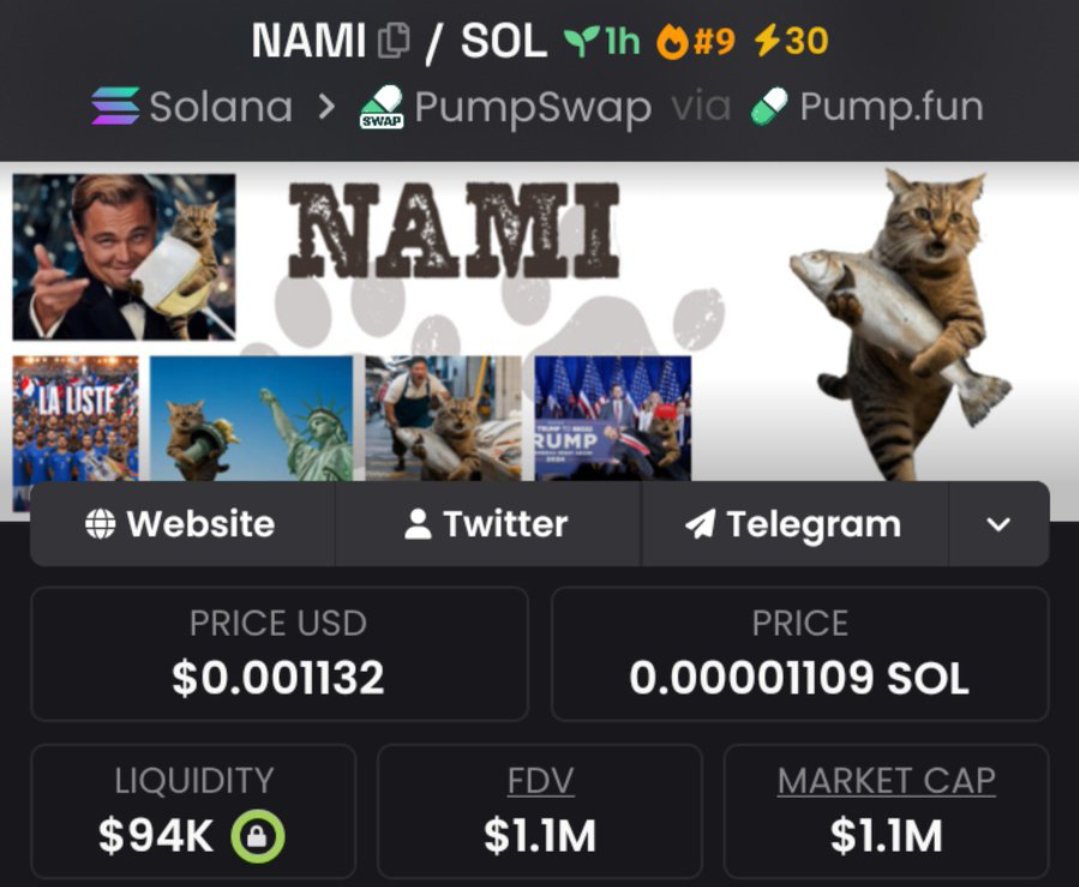 LuaMinhaLoira's tweet photo. $NAMI just From $8.2K → $1.1M MCAP 🔥

I drop my highest-conviction Solana memecoin plays early in my private alpha TG — before they go parabolic.

DM now to lock in the next run

CA:
9rbAB5BTo12TkKt5ed5SzUXjgBckkFmtcKdPDbMtpump

#bbvipks4 #memecoin https://t.co/4yauwur0he