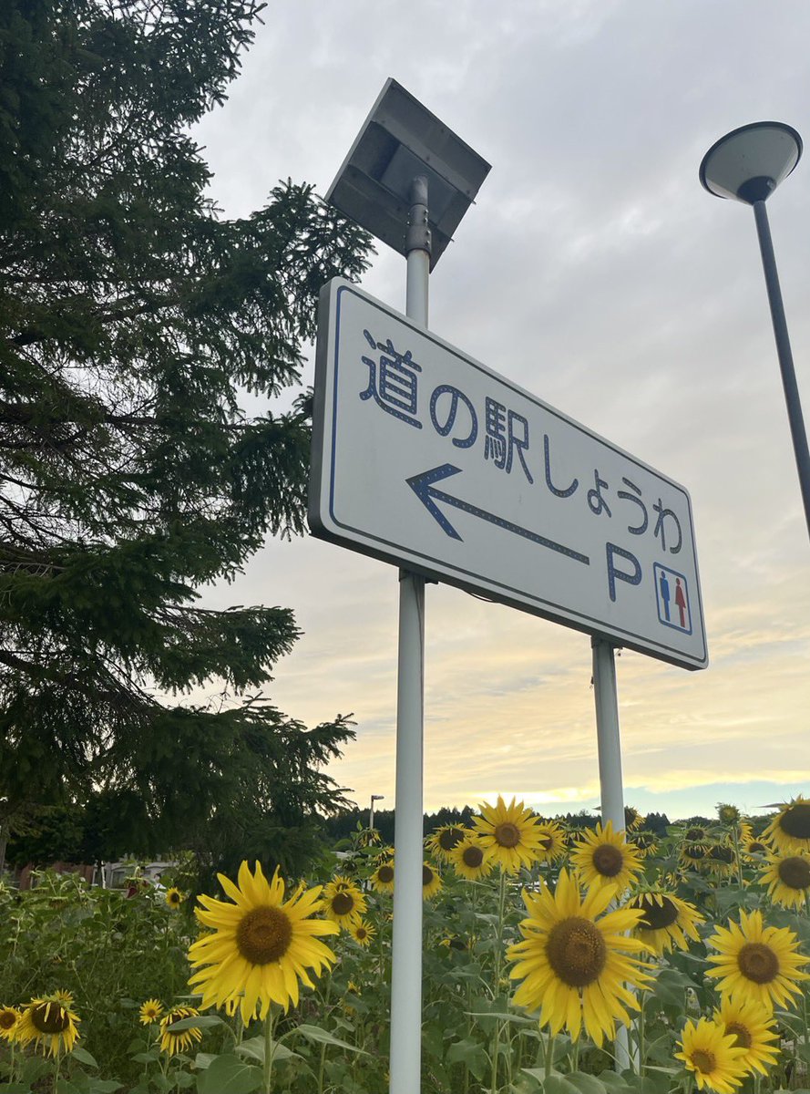 3peaceRoad's tweet photo. 連休中は東京も台風の影響で雨風すごかったから娘の帰省はほんと奇跡的にタイミング良くて、毎朝空を見上げては秋田の空に感謝してた✨会いたい人に会って楽しくリフレッシュできたと思う🍀

秋田時間もあと少し https://t.co/tmSjBZHOLH