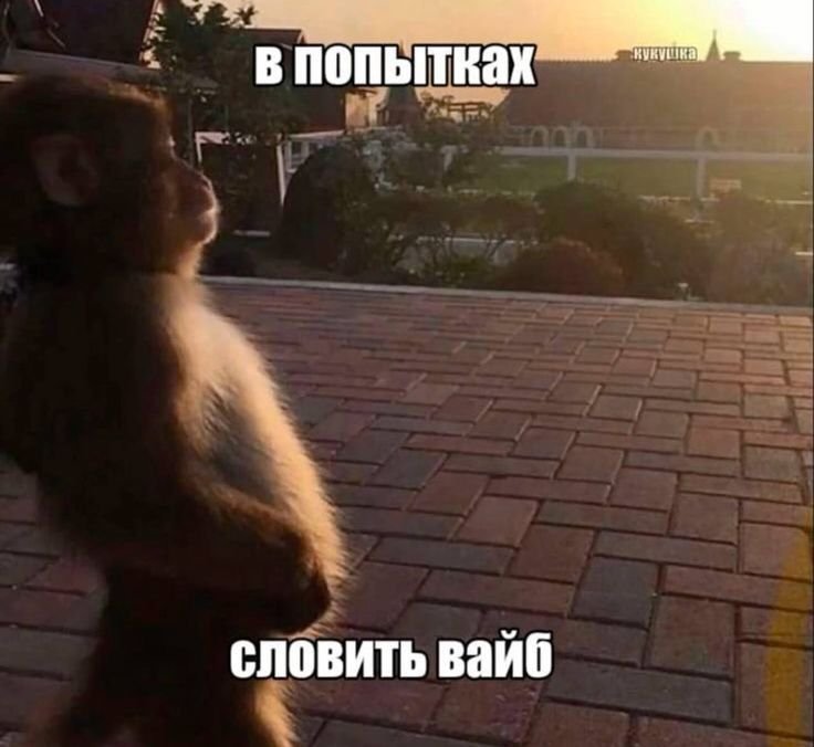 meimesn's tweet photo. https://t.co/bAqvfKz02x