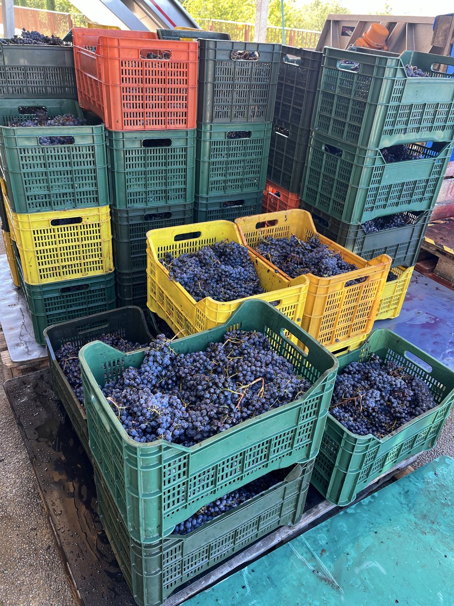 JohnMFodera's tweet photo. Work in progress @Gagliolewines - Absolutley perfect weather and great wines. #RusticTuscanyTour 2026 https://t.co/hLDtMUqy7v