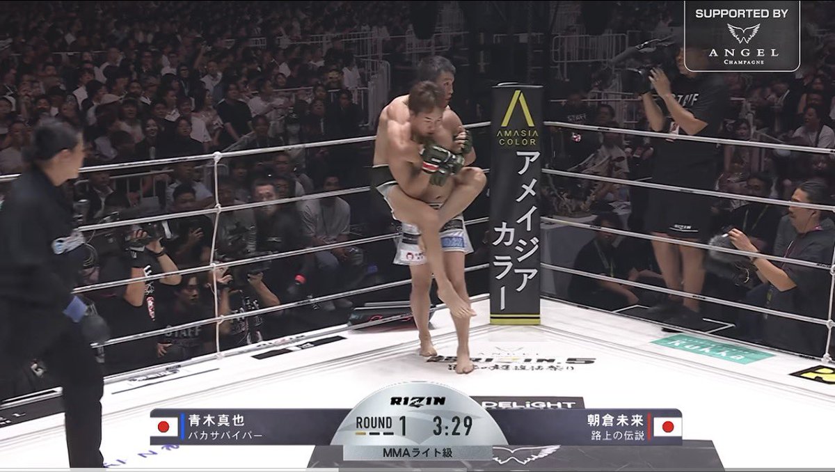 MAC_MMA_'s tweet photo. 多分この状態になったフェザー級ストライカー全員極められてた https://t.co/36MaCbBeaL