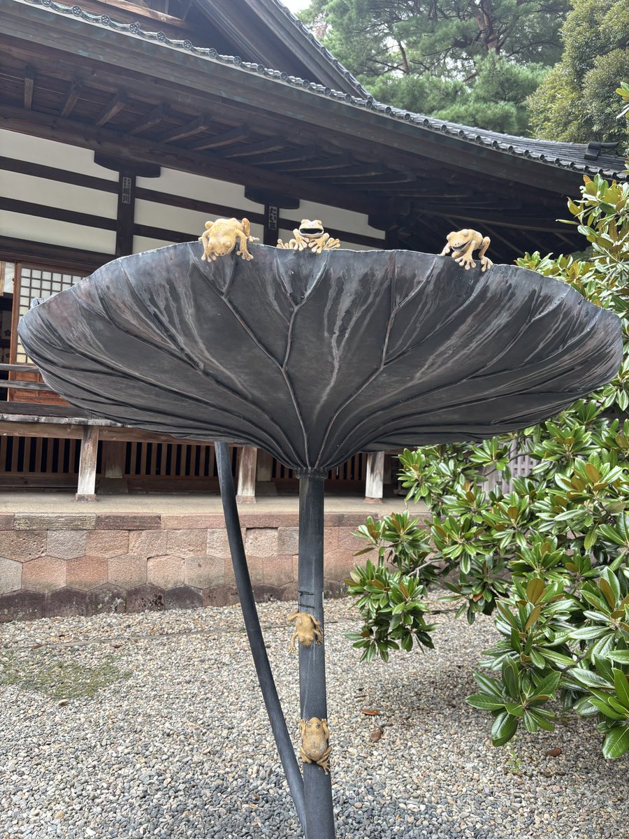 yonayuyu's tweet photo. 本日金沢1日目終了！　
21世紀美術館に兼六園に金沢城も見れた！　
美味しい物もたくさん食べたし！😋　
明日の朝5時起きなので今日は寝ます😴 https://t.co/oF6wjohonc
