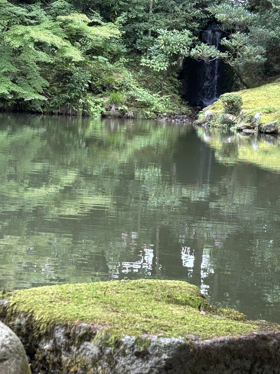 yonayuyu's tweet photo. 本日金沢1日目終了！　
21世紀美術館に兼六園に金沢城も見れた！　
美味しい物もたくさん食べたし！😋　
明日の朝5時起きなので今日は寝ます😴 https://t.co/oF6wjohonc