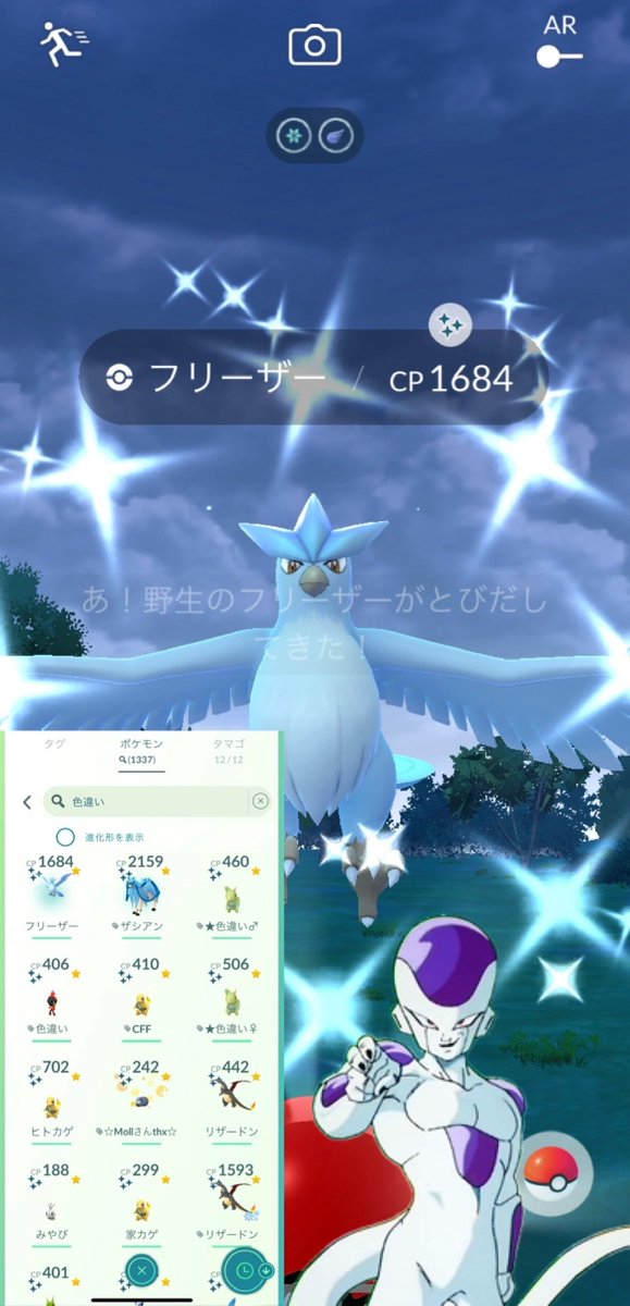 osakanafurikafe's tweet photo. ポケモンGO バトルリーグ

今5戦中3勝すると高確率で伝説ポケモンがゲットできるお祭り状態です🉐✨

普段バトルやらない方もどうでしょうか
なかなか復刻しない伝説も入っていて色違いもぼちぼち出ます🪽✨
好きなボールでゲットできるのもいいですよ(*'▽'*)

レート下げて勝ちやすくするのも手です https://t.co/AHEUicokco