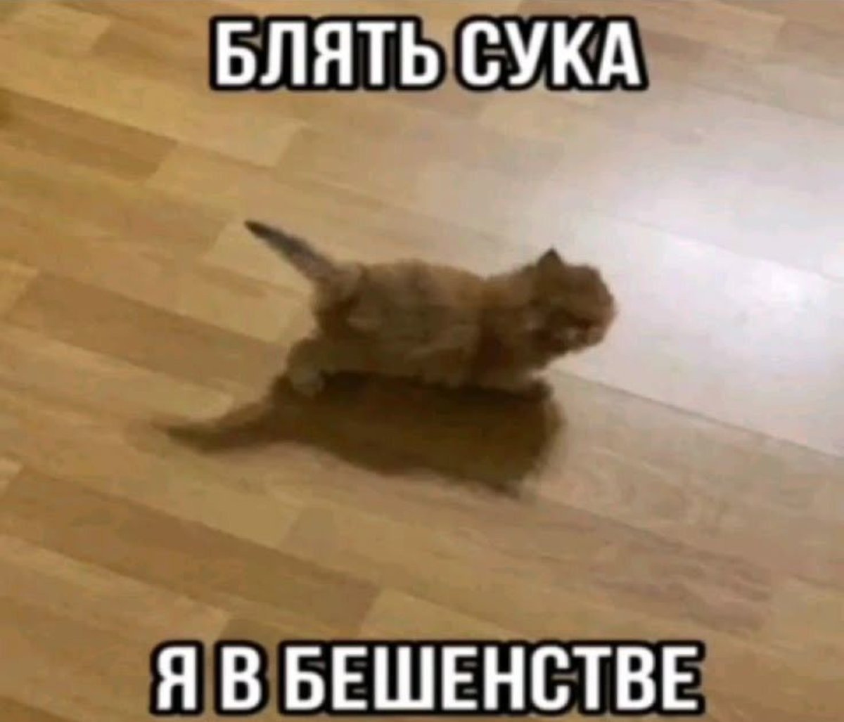 vk6ujd's tweet photo. @quseau https://t.co/e7egUoqN1K