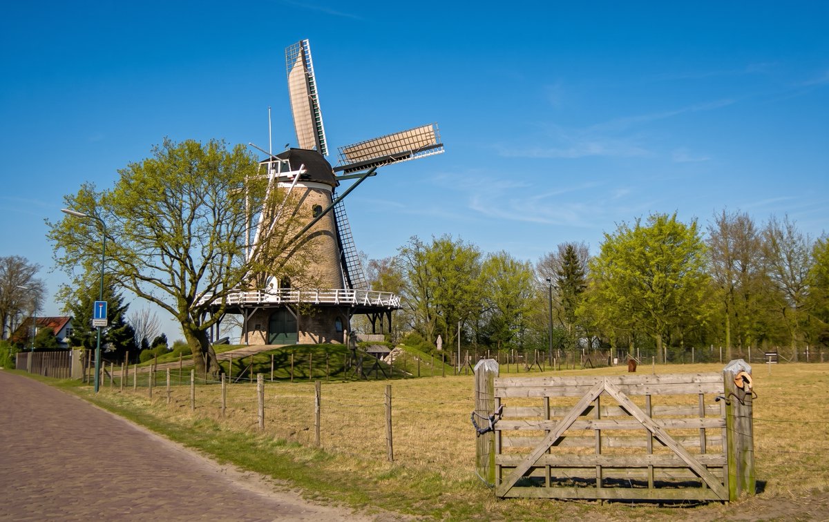 wimbeerden's tweet photo. Molen van de dag
22 september 2026
Stellingkorenmolen "De Windhond" uit 2008 in Soest 
Foto door mij genomen op 7 maart 2011 en verbeterd met AI. https://t.co/AZkrGY5D0O