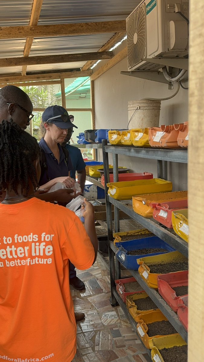 Food4AllGh's tweet photo. 🌱 What if Accra’s organic waste could help feed Ghana’s growing fish farming industry?

That is one of the questions we are exploring at @Food4AllGh through our partnership with @ACIARAustralia and our work with Okumkom Biodigital BSF Farms.

#FoodForAllAfrica #ACIAR https://t.co/BUIHmIpzfP