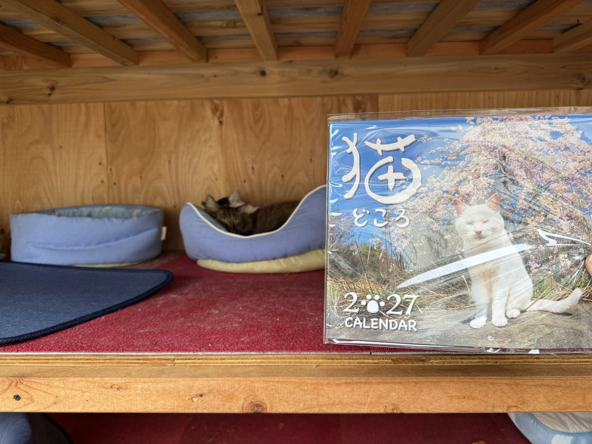 Rabice19's tweet photo. 今日は福井にウォークお土産ドライブ
猫寺に永平寺駅
お昼は人気らしいケンゾウ蕎麦をいただきました。 https://t.co/BcFu7x83bM