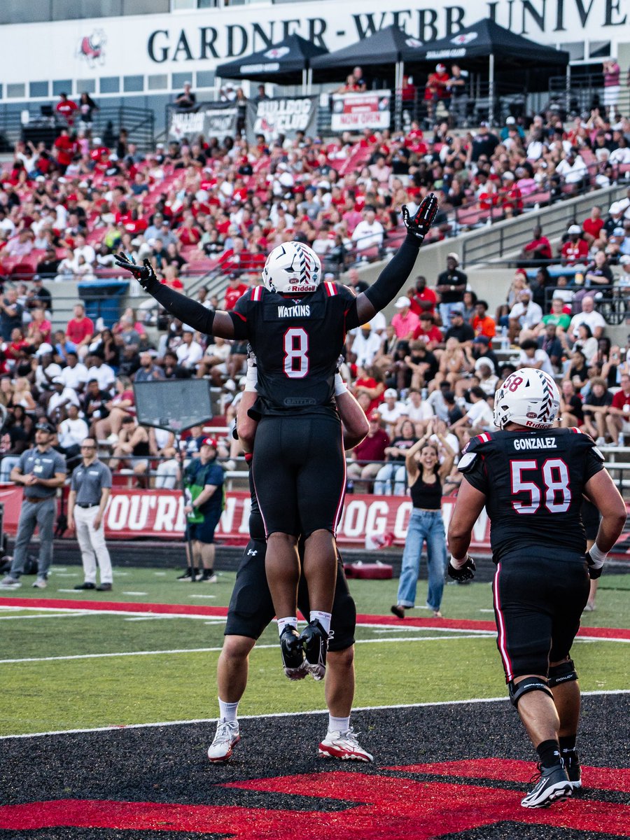 CarolynnLeman's tweet photo. All for them 🤞🏼❤️🐾

#11Brothers https://t.co/Pbq55awn4p