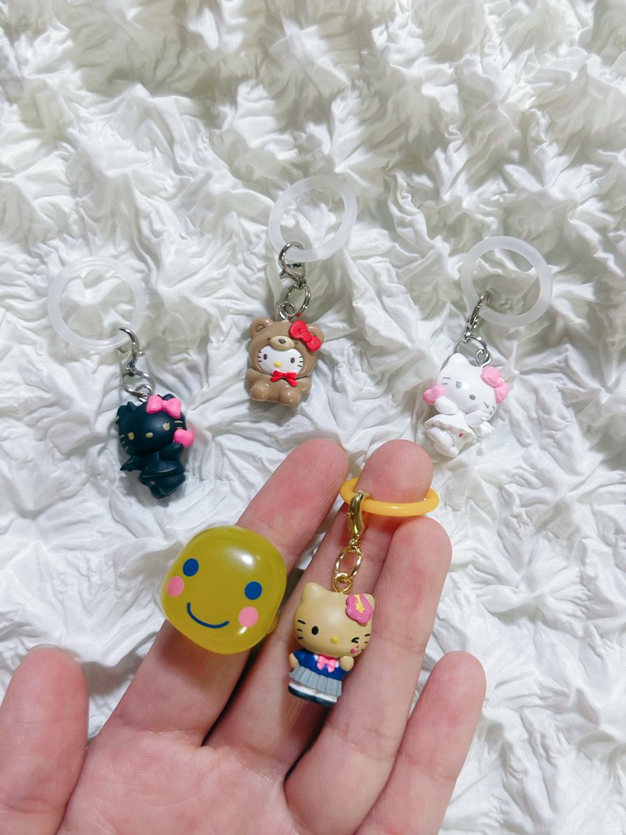 6__roro__6's tweet photo. 見てくれよ…可愛すぎると思わんかね

．

2枚目は大きさ比べのつもり https://t.co/xddeLOiQw1