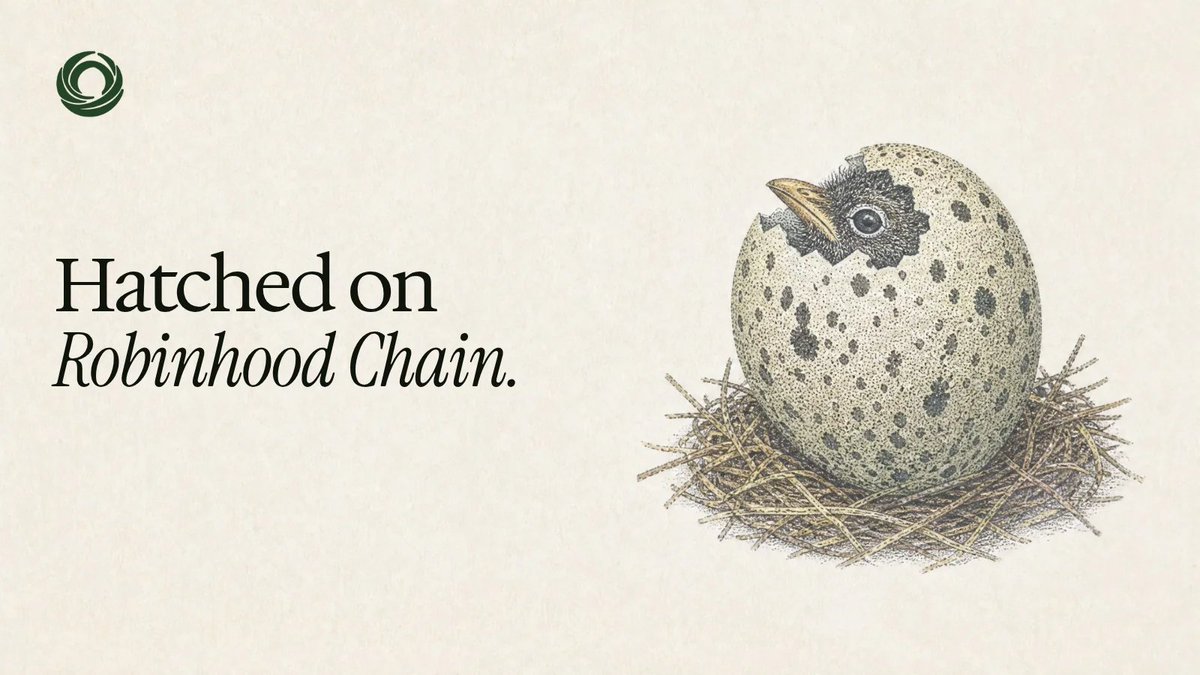 RoostLaunch's tweet photo. Hatched on Robinhood Chain. https://t.co/N9vWBnW6XN