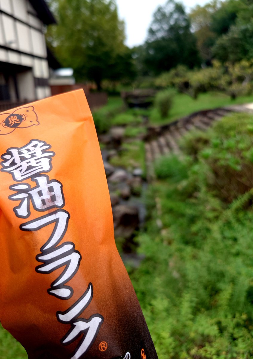 guojigoofy's tweet photo. 連休最終日！
わんこを連れてドッグランのある少し遠い公園へ！広い園内はわんこ連れの方がいっぱい😁たくさん歩けてわんこも楽しそう😀
キッチンカーも出ていたから、わんこ連れでも食事に困らなくて助かったー😆

シルバーウィークの5連休めいっぱい満喫しました！楽しかったー🤩🤩🤩 https://t.co/EfGtuLQtEu