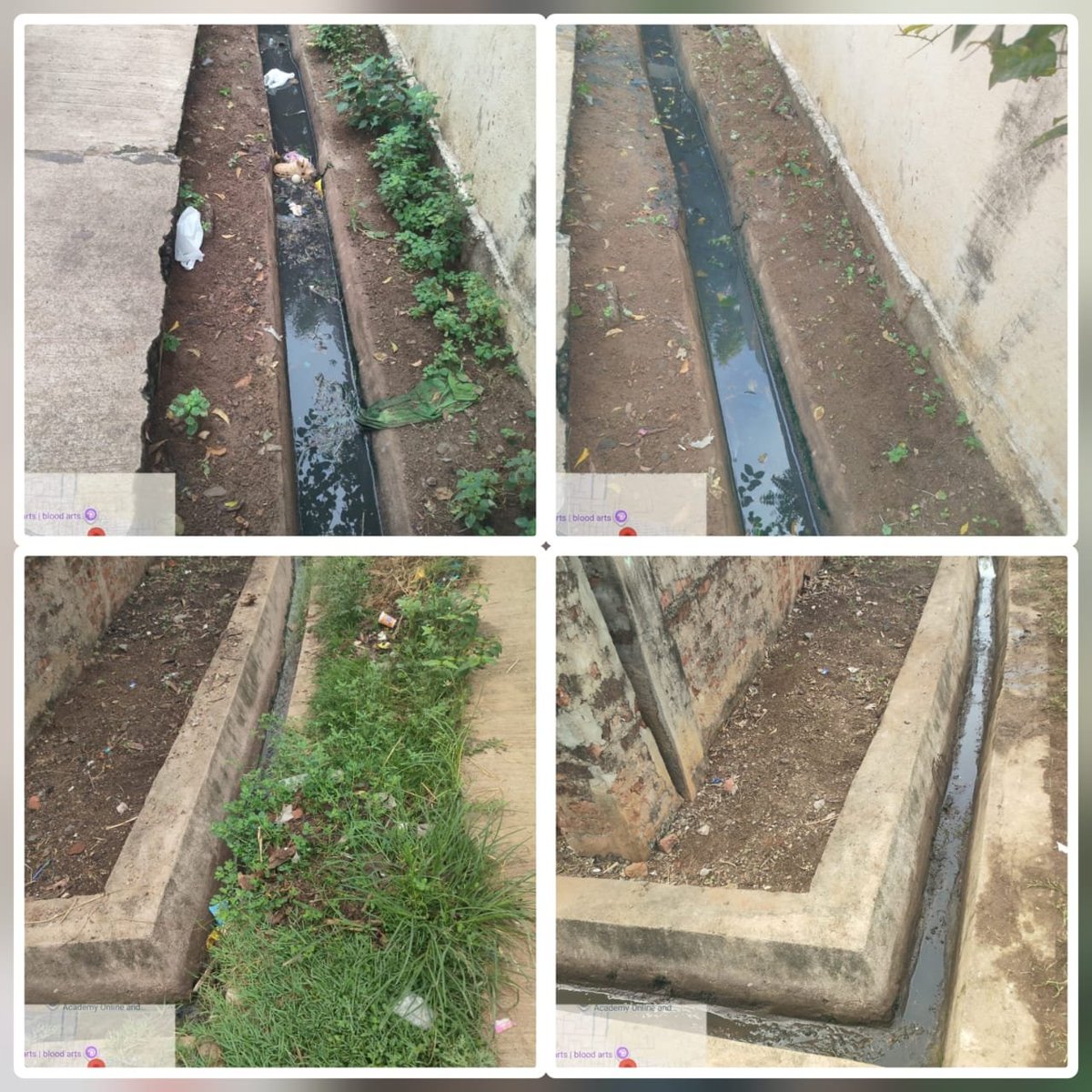 elurumc's tweet photo. 🔹 School sessions on Single-Use Plastic &amp; Home Composting.
🔹 Drain desiltation &amp; bulk waste clearance has been done accross the circles.
Let’s keep Eluru clean &amp; green! 🌿✨
#SwachhataHiSeva2026 
#SwachhBharat 
#SHS2026
#Swachhotsav 
#SwachhataHiSeva https://t.co/0jvFKnEArP