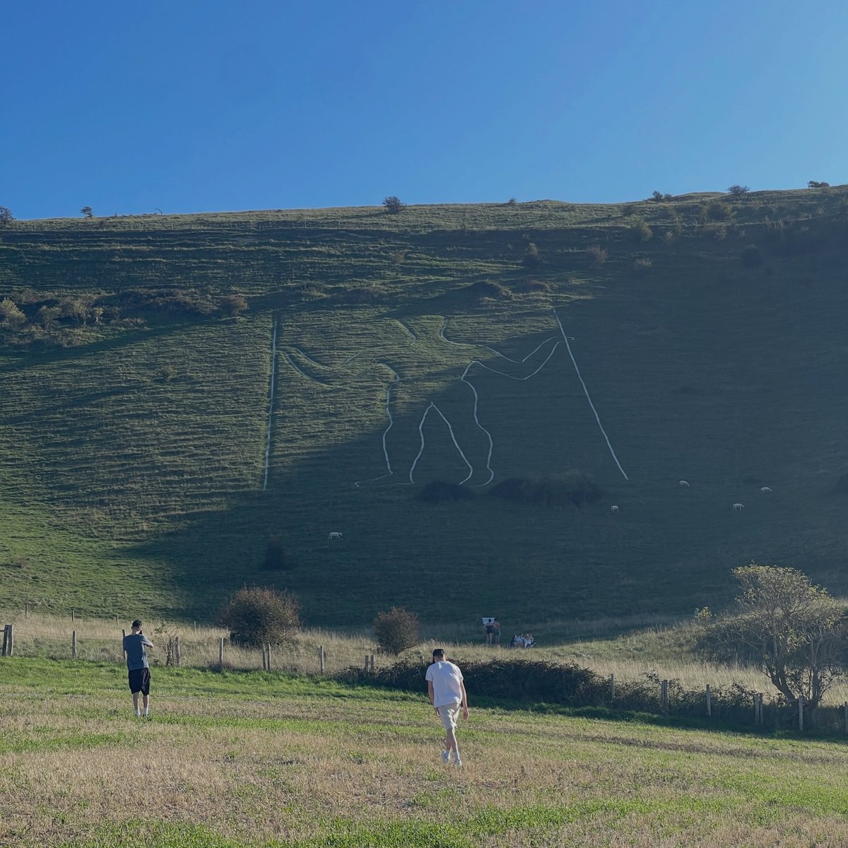 MEGALITHOMANIA's tweet photo. Equinox at the Long Man. 
Video coming soon

@thelongmandecoded (IG) #thelongman #megalithomania @HughNewmanUK https://t.co/E8BZ9ggY7Y