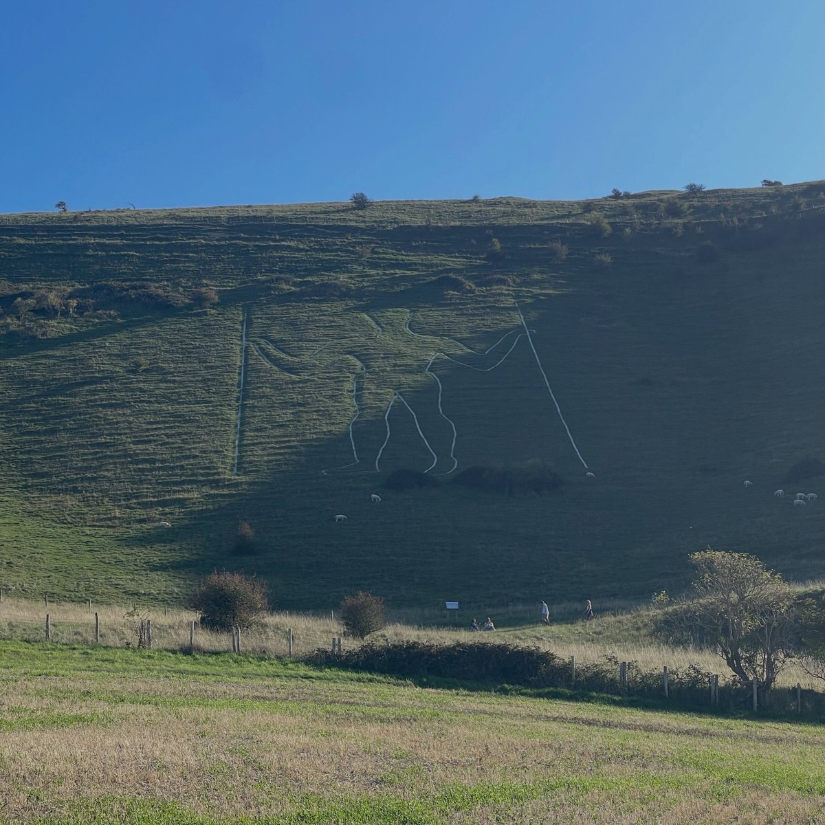 MEGALITHOMANIA's tweet photo. Equinox at the Long Man. 
Video coming soon

@thelongmandecoded (IG) #thelongman #megalithomania @HughNewmanUK https://t.co/E8BZ9ggY7Y