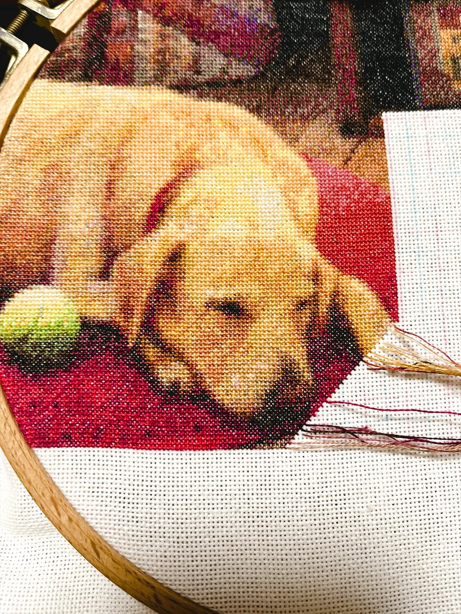 toraCrossStitch's tweet photo. 🐶598日目🐶

『Leroy’s Decoys』25ct  88色
650w × 465h    66 × 47cm 
【Page 39】 24/45枚

#クロスステッチ
#HAED https://t.co/qsS8N4MJfH