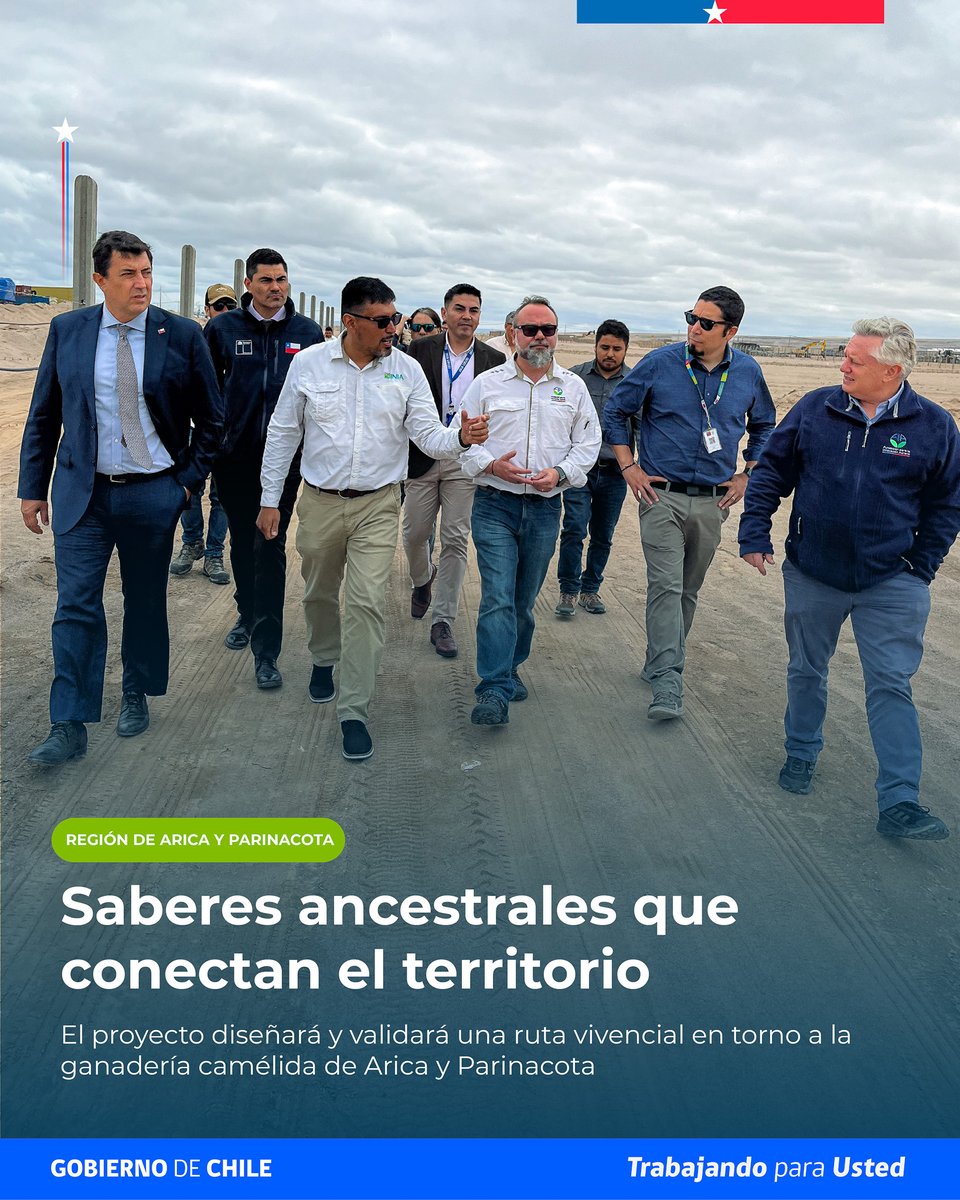 FIA_Chile's tweet photo. 📍 La primera jornada incluyó reuniones con el gobernador regional, el delegado presidencial y el seremi de Agricultura, además de visitas a Ruta Camélida Ancestral, producción de quinoa y manejo sostenible de hortalizas en Azapa. https://t.co/9VzBouHnnY