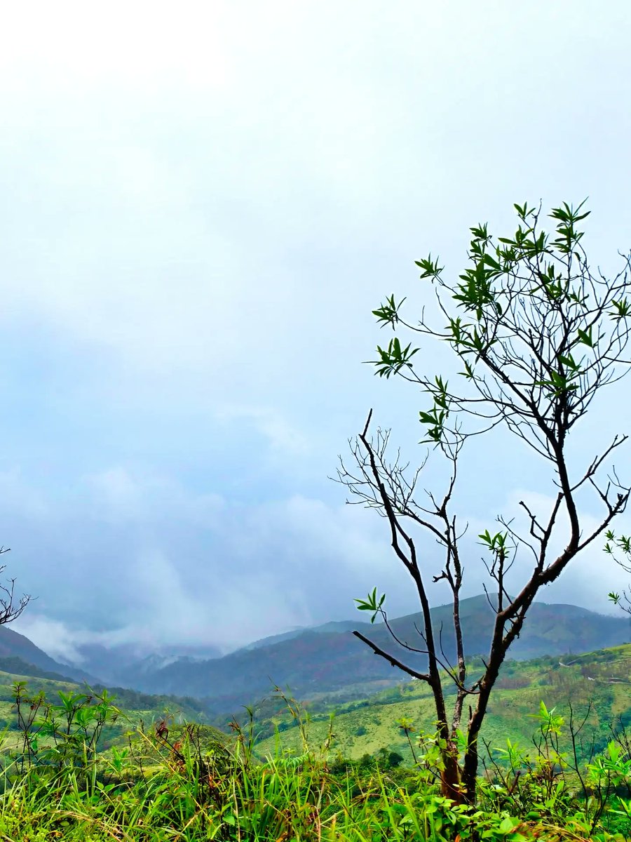 MargotCaldmc's tweet photo. Lost in nature’s beauty, where every view feels peaceful. https://t.co/sL0Lvtx60S