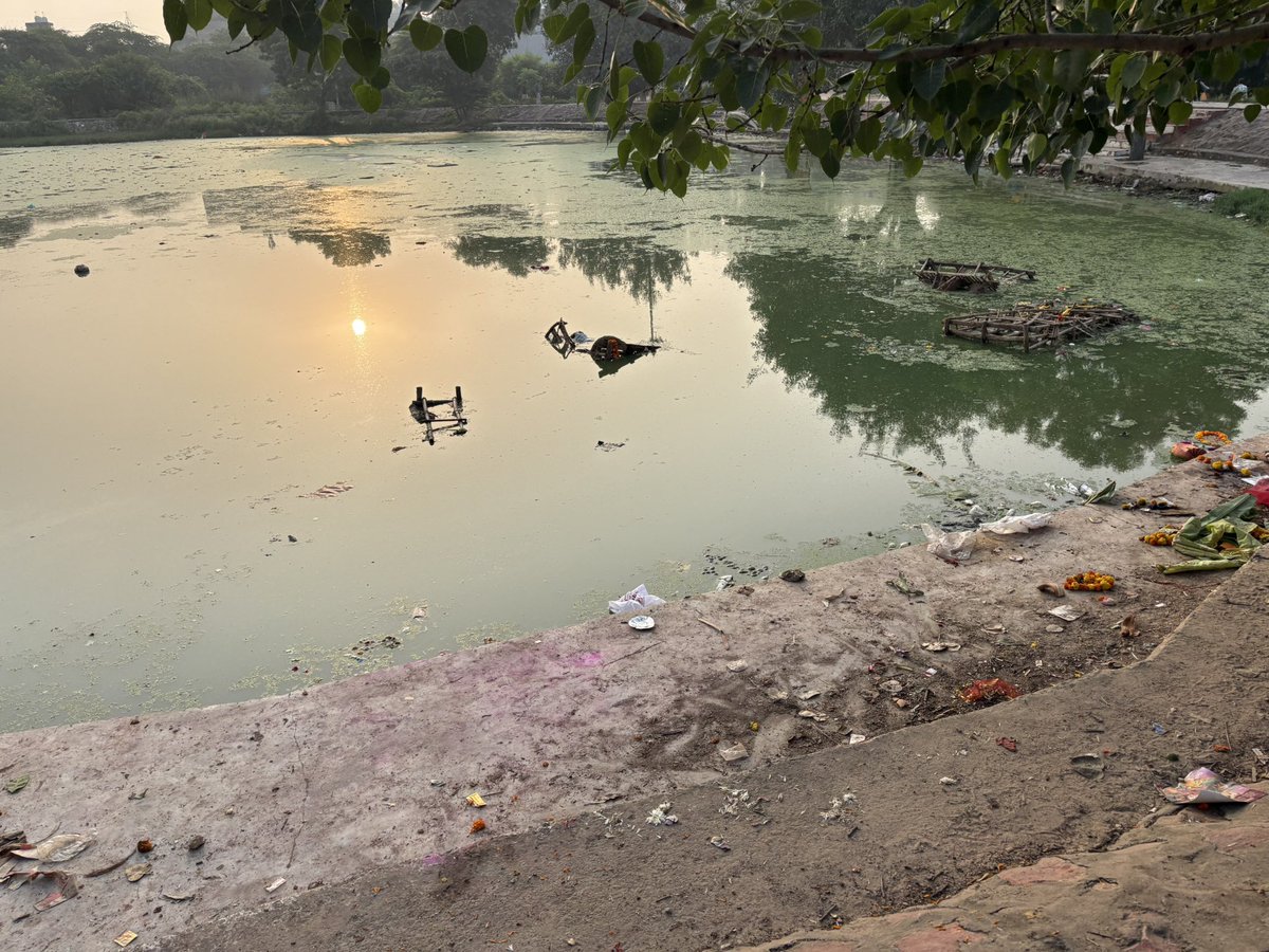 lovleen90's tweet photo. condition of Maidangarhi Lake. 

Thanks to @CMODelhi for ignorance https://t.co/ZQhHXmXKjz