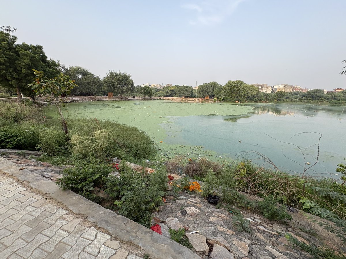 lovleen90's tweet photo. condition of Maidangarhi Lake. 

Thanks to @CMODelhi for ignorance https://t.co/ZQhHXmXKjz