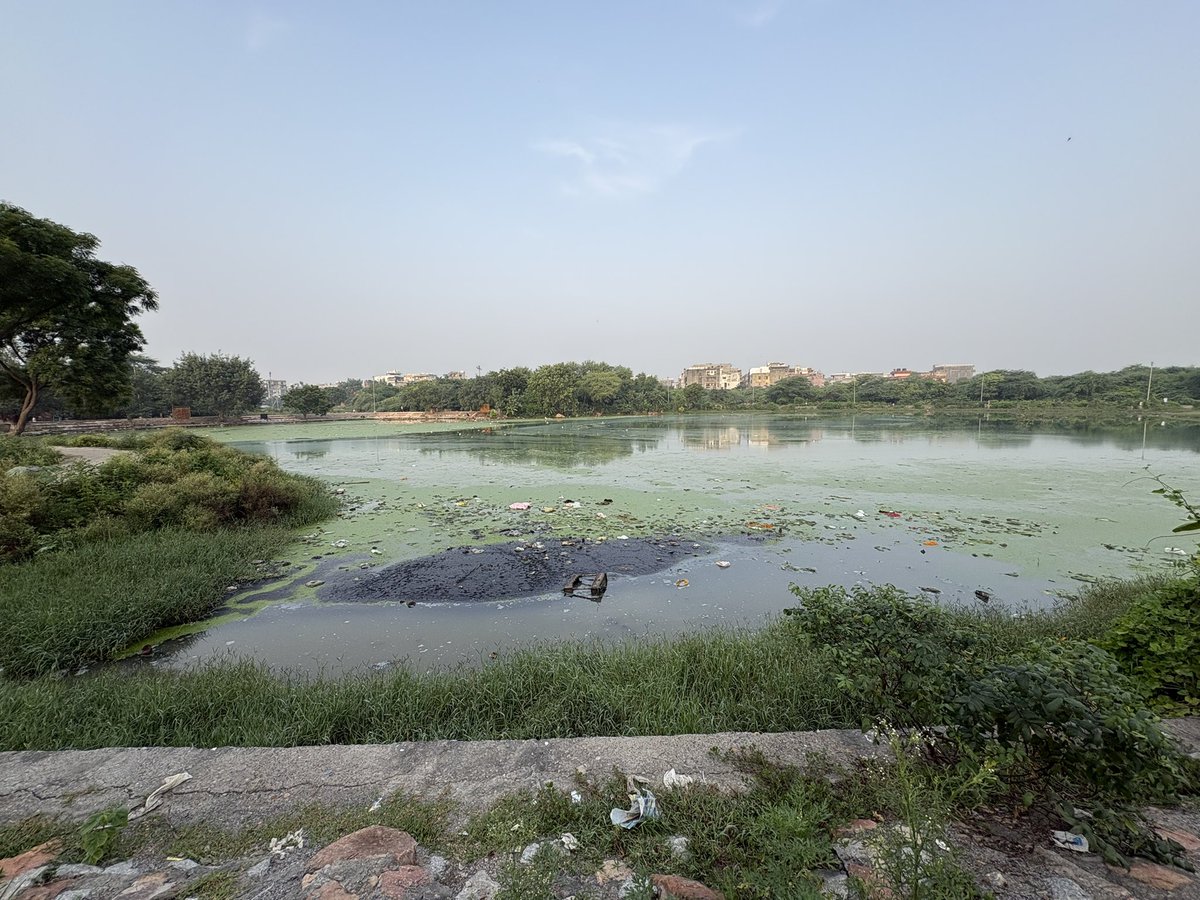 lovleen90's tweet photo. condition of Maidangarhi Lake. 

Thanks to @CMODelhi for ignorance https://t.co/ZQhHXmXKjz