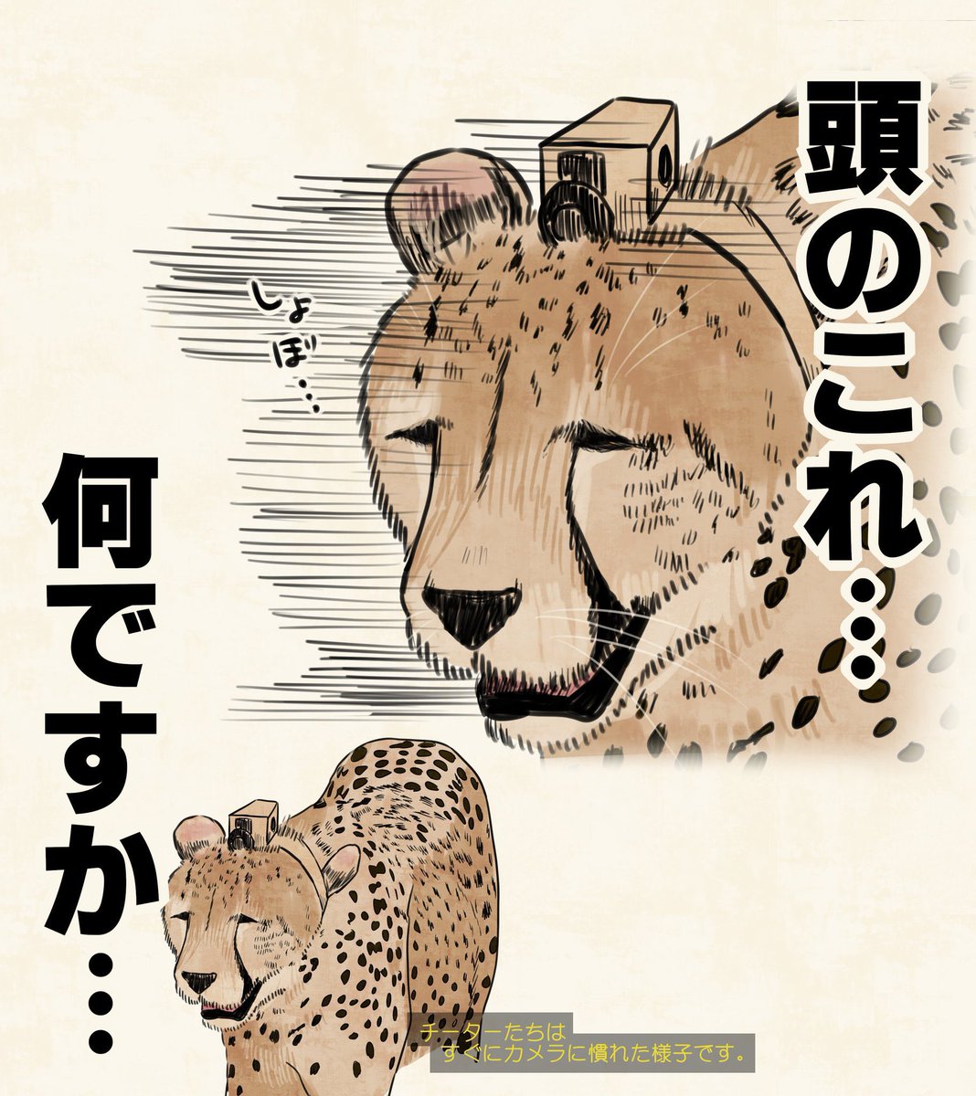 kuiruri's tweet photo. 慣れてないの好きで… https://t.co/wPMzSeYkjz