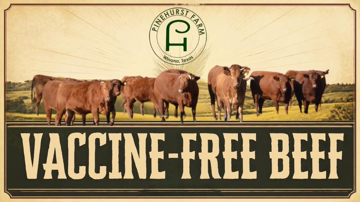PinehurstFarm's tweet photo. Our Farm-to-Table Red Wagyu cattle are pasture-raised and vaccine-free! https://t.co/Pk6q5hljQ7 https://t.co/iRQJFJ46Iq