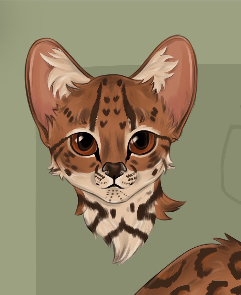 schenok57's tweet photo. #Tilcayo #CatArt #CatDrawing #DigitalArt #DigitalDrawing #CatArtist #ArtTwitter #ArtistOnTwitter #Drawing https://t.co/8dBWZ0m09f
