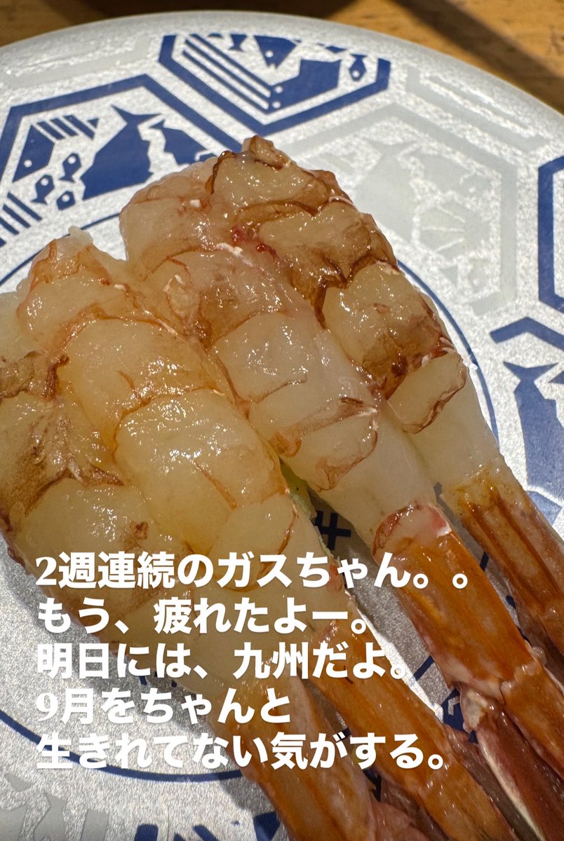 yuuki_TR_ASH's tweet photo. ガスエビ最強説。 https://t.co/R4nnmkxD82
