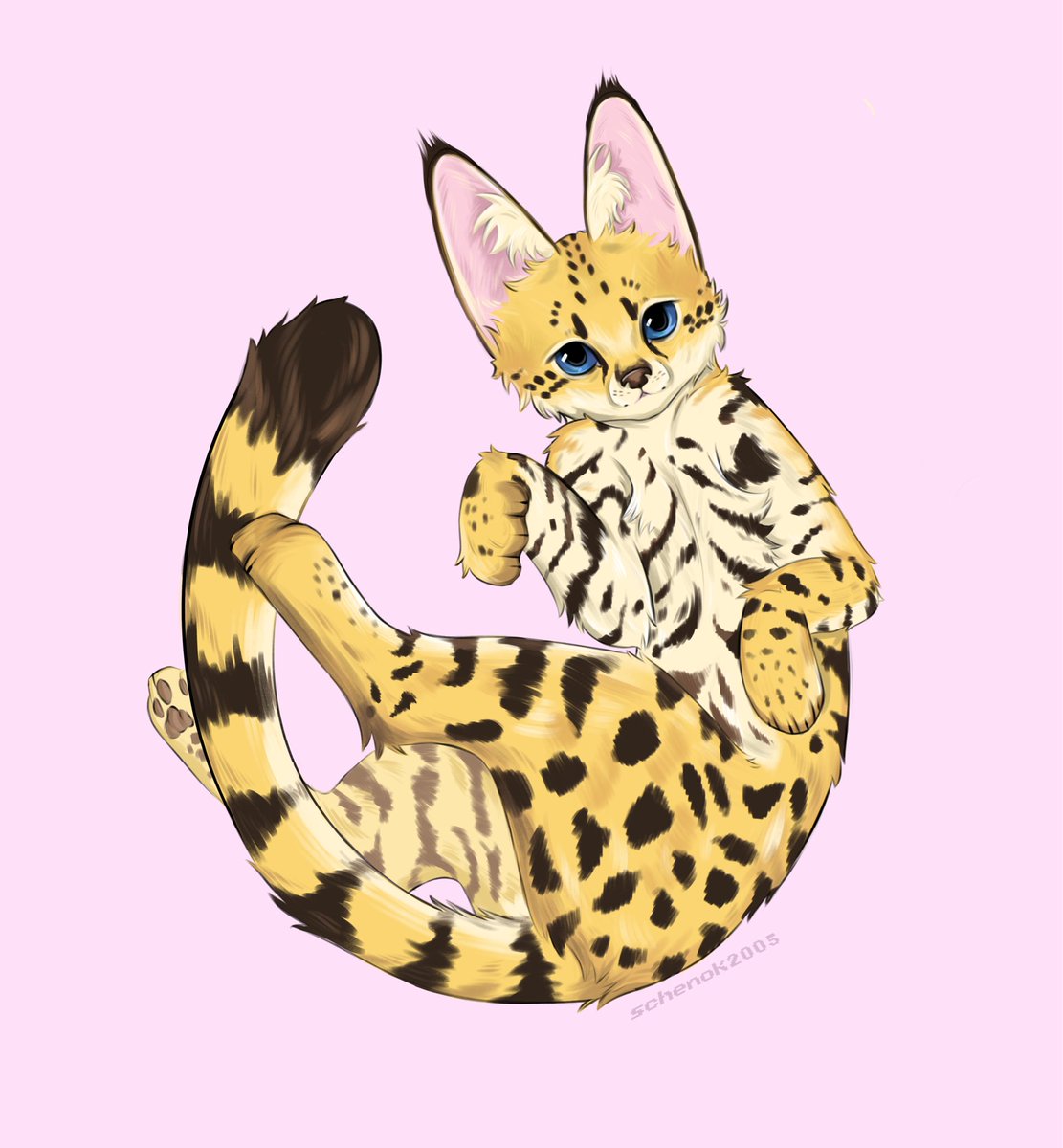 schenok57's tweet photo. Drawing a serval because why not

#CatIllustration #CatDrawing #DigitalArt #FurryArt #AnimalArt https://t.co/Ug7GPpuOac