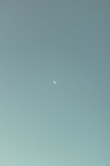 SeanMurphyoq's tweet photo. إنني أقدر كيف تنقسم هذه المقالة أفكارًا أجزاء ��جعل من معقدة إلى قابلة للهضم. شكرا جودة محتوى في متناول الجميع خلال التبادل. nathanael willyard🥀 https://t.co/Lyk9Mv12AW
