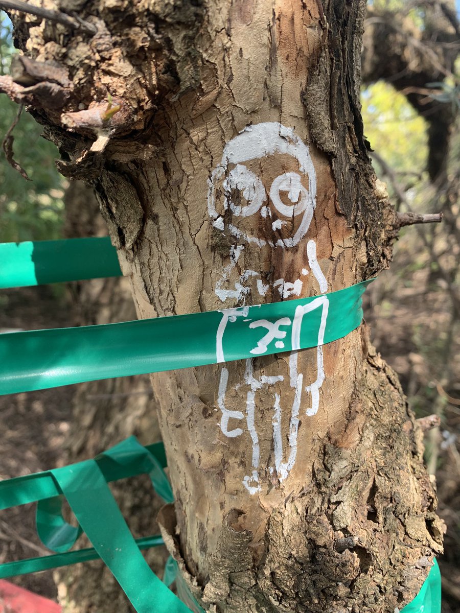 AmyLue3's tweet photo. Went up to the druggo hide out and made some beautiful graffiti of #guccimorty https://t.co/u7HMUluCEi