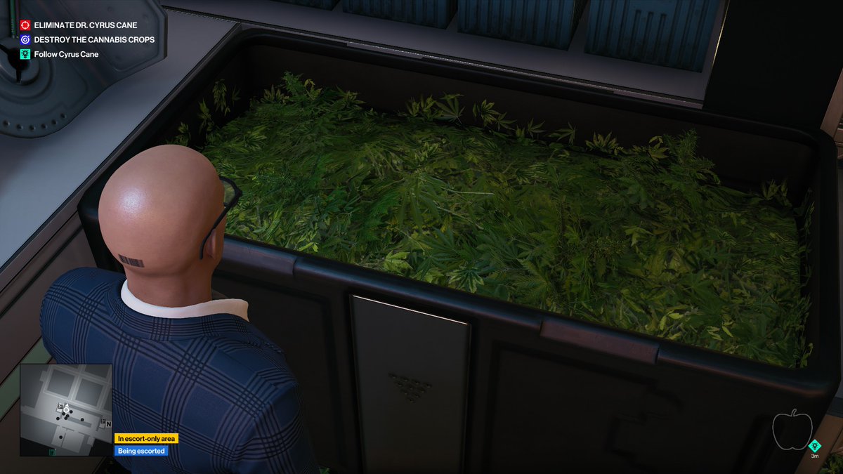 pejeplay's tweet photo. #HITMAN #cannabis #makeweedgreatagain https://t.co/DDyCxHTWHs