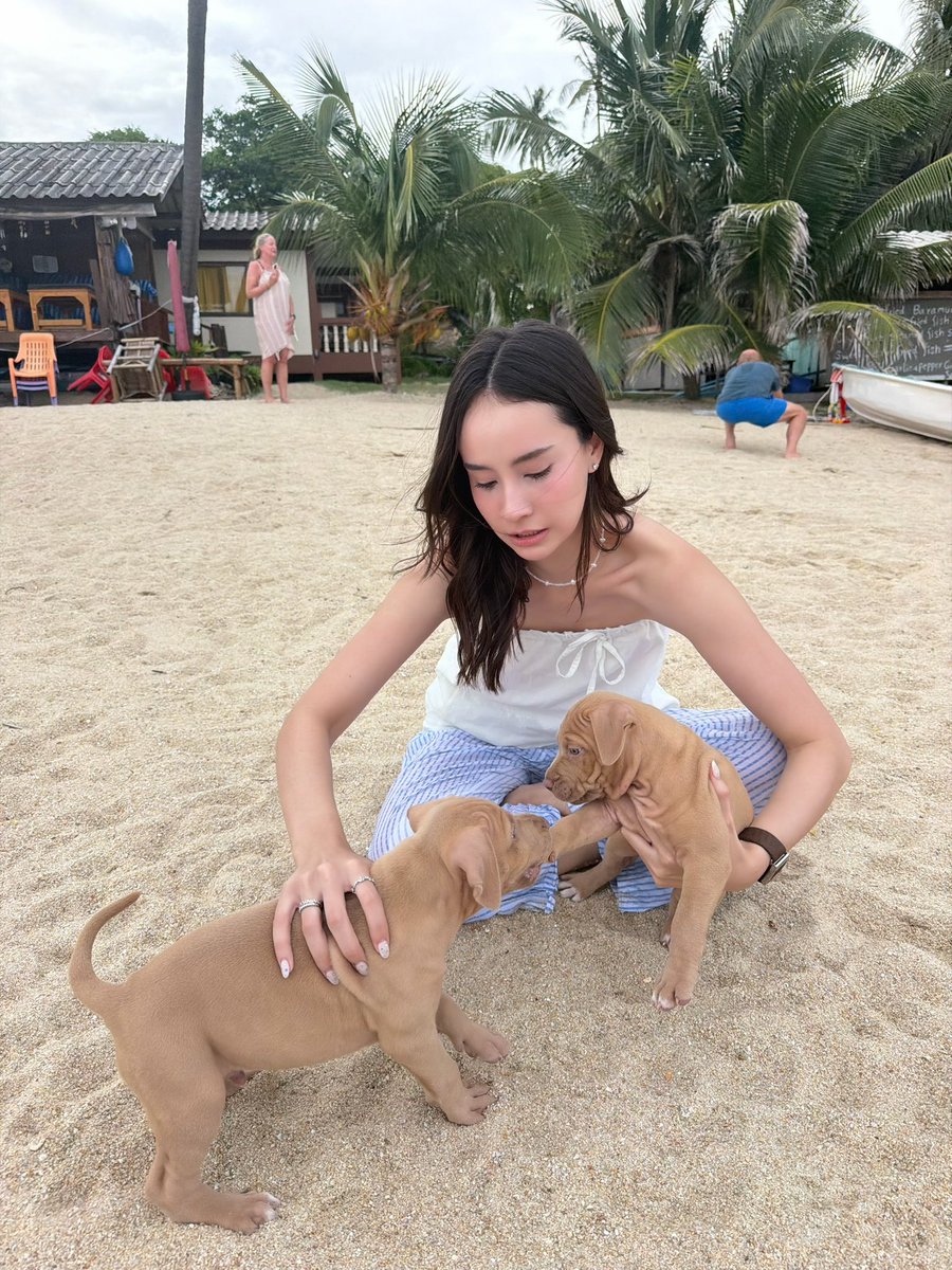 j_jayyna's tweet photo. อย่า ตี กัน https://t.co/mA7ycwIdVe