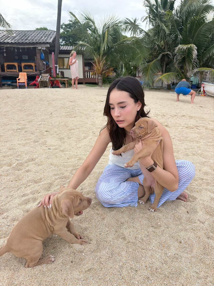 j_jayyna's tweet photo. อย่า ตี กัน https://t.co/mA7ycwIdVe