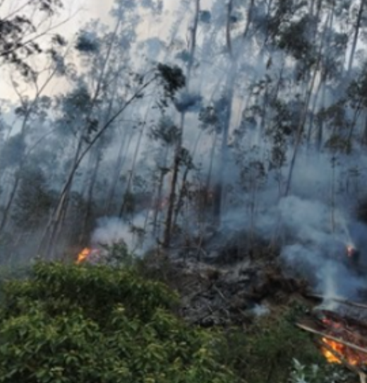COENPeru's tweet photo. 🔥 Apurímac: el 22/9 inició un #IncendioForestal en la comunidad Pichiuca, distrito #Lambrama, provincia Abancay. Gobierno local ejecuta la #EDAN y coordina las acciones de respuesta. Evento se encuentra activo y, al momento, no se reportan daños a la vida y salud de las personas.