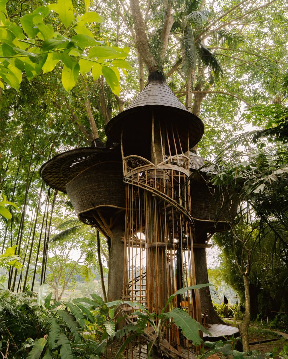 Ajay_10am's tweet photo. Sleeping in the Jungle Canopy 🌴

#treehouse
#bali
#travel

https://t.co/YCkRTPn6Nf https://t.co/wRAlGFBeN9