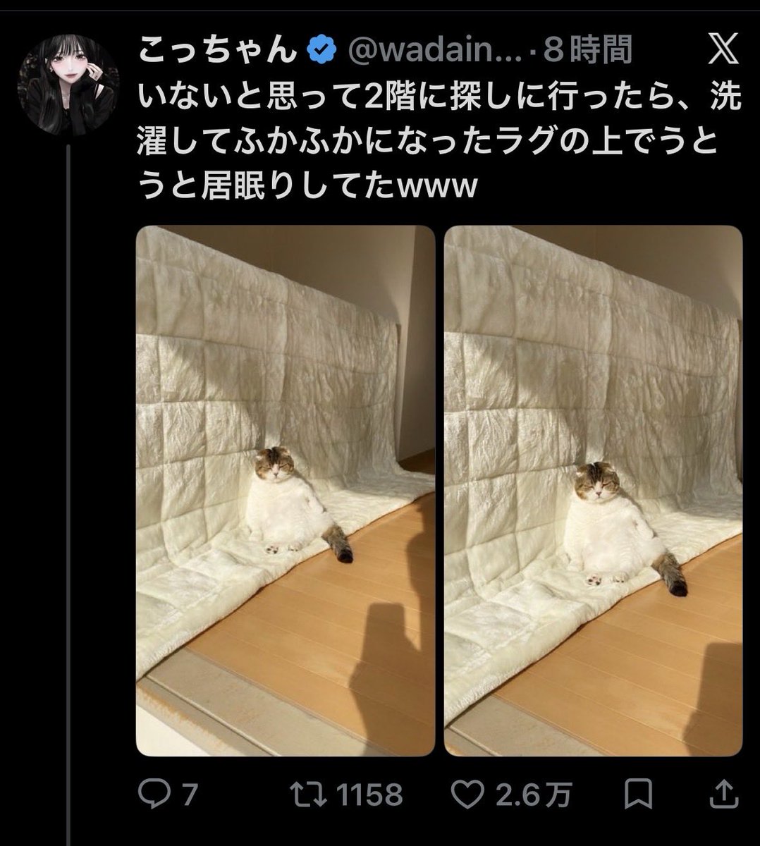 akihimatandon11's tweet photo. どんちゃんの写真と投稿文が
無断で使われています。

私が撮った写真と、私が書いた文章です。

もしよろしければ、こちらの投稿を
Xへ報告していただけると助かります🙇‍♀️

ご協力よろしくお願いいたします。 https://t.co/f9jIFpCQy7