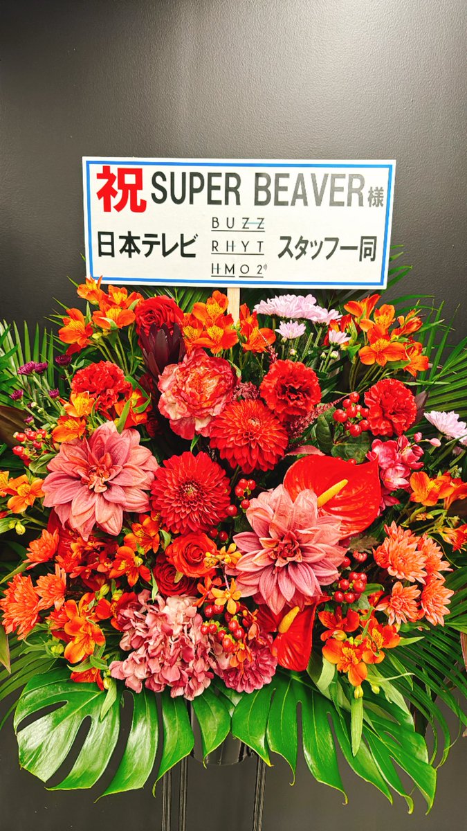 maedanaotaka's tweet photo. SUPER BEAVER
都会のラクダ DOME TOUR 2026 
東京ドーム -Day2-

これはひょっとしたら自分の中で
ひとつの到達点かもしれないと思ったのだけれど。
SUPER  BEAVERのライブ何回も
見てきたけれど、初めて泣かなかった。

5万人の「個」の光景が、ものすごくて。

映画を見ているような、
静かな成仏の感覚があった。

バンドが見つけてもらうのには時間がかかる。
理解されるのにも時間がかかる。

すごく分かりやすいバンド
じゃないと思う。
「見れば、知れば、聴けば、好きになる」
を信じながら10年以上自分なりのアプローチで応援してきたつもりだけれど、
結果に辿り着く人は、そう多くはなく。

この景色を作りあげたSUPER BEAVER、
お客さんは、本当にすごい。
奇跡そのものだった。

22年目
一緒に夢を見たたくさんの人が、我が事のように誇っているのではないでしょうか。

めちゃくちゃカッコイイ通過点でした。